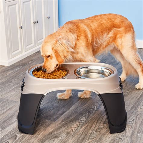 highest rated dog bowls.